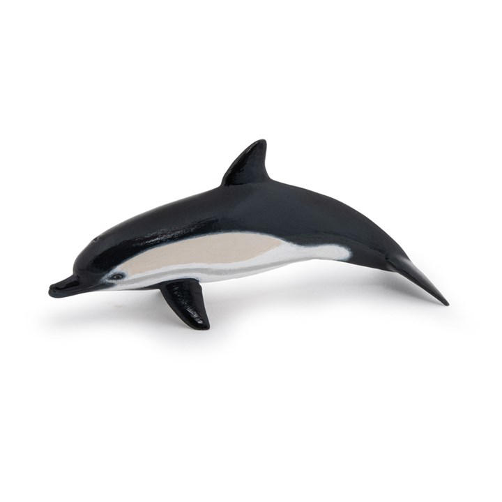 France   Kids  Marine Life Common Dolphi, Football by PAPO, Sports Direct