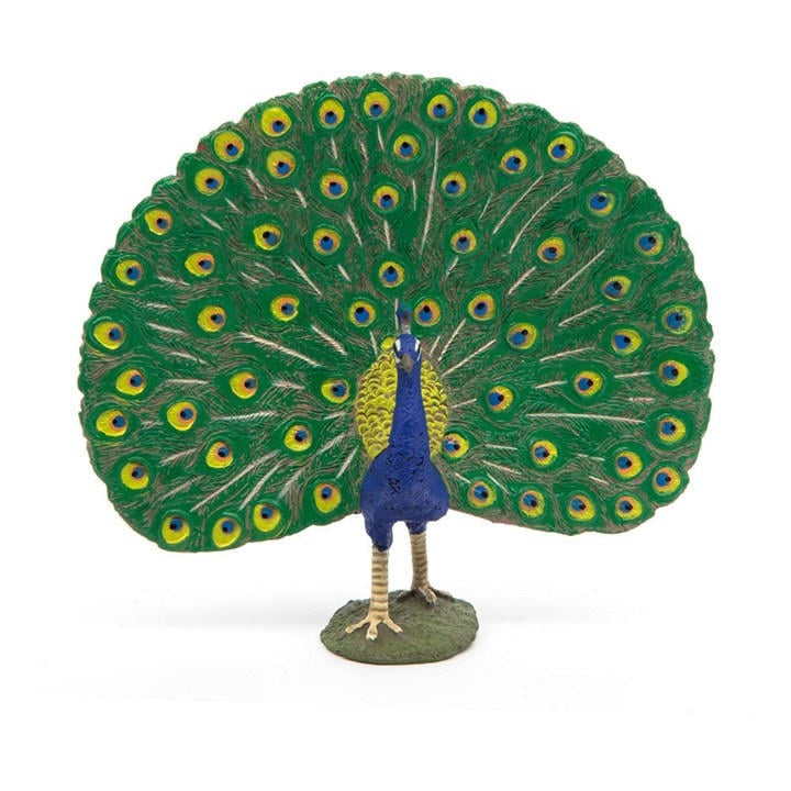 France   Kids  Farmyard Friends Peacock, Football by PAPO, Sports Direct