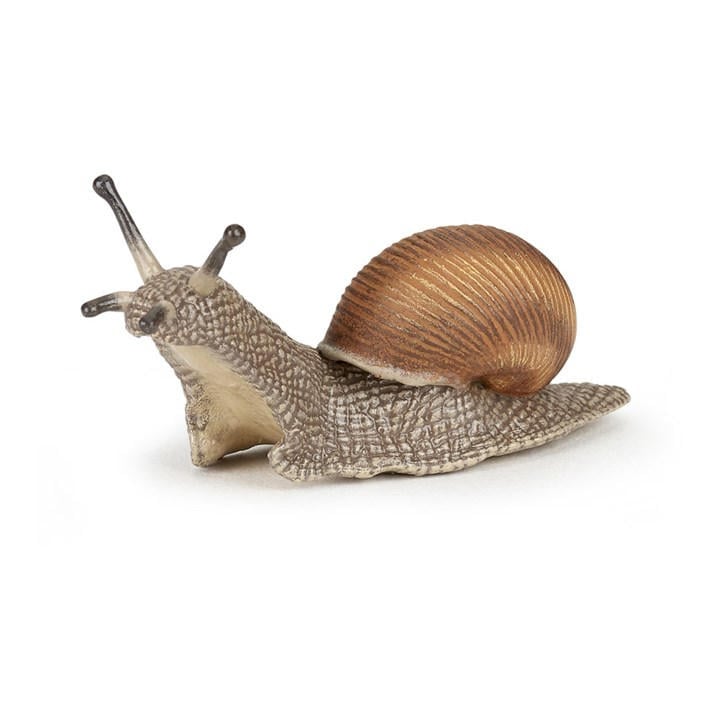 France   Kids  Wild Animal Kingdom Snail, Football by PAPO, Sports Direct