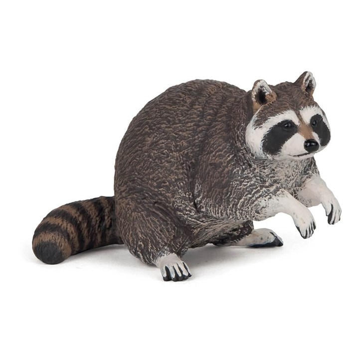 France   Kids  Wild Animal Kingdom Racoo, Football by PAPO, Sports Direct
