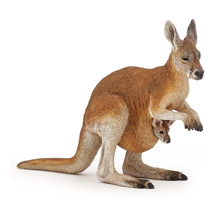 France   Kids  Wild Animal Kingdom Kanga, Football by PAPO, Sports Direct