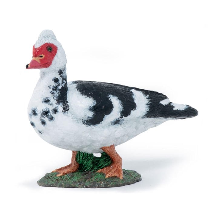 France   Kids  Farmyard Friends Domestic, Football by PAPO, Sports Direct