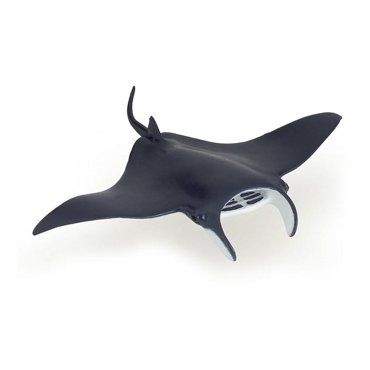 France   Kids  Marine Life Manta Ray Toy, Football by PAPO, Sports Direct