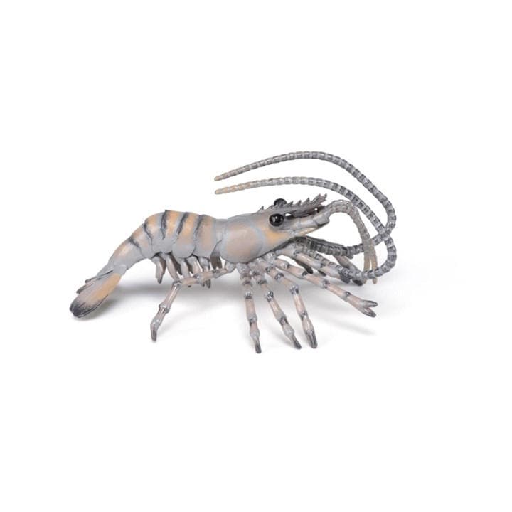 France   Kids  Marine Life Shrimp Toy Fi, Football by PAPO, Sports Direct