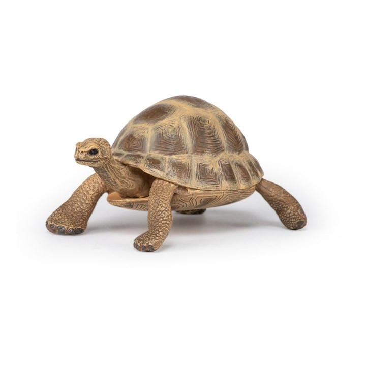 France   Kids  Wild Animal Kingdom Herma, Football by PAPO, Sports Direct