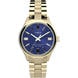 Blue/Gold tone
