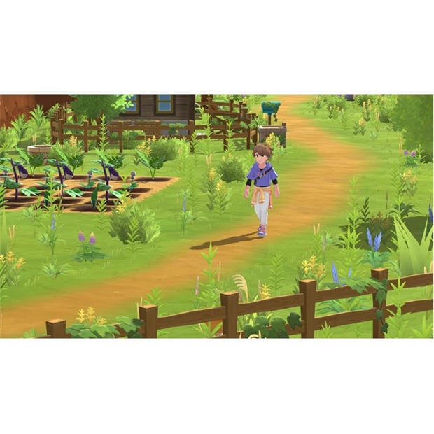 Плейстейшън 5 - Numskull - Harvest Moon: Home Sweet Home Special Edition