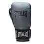 Charcoal - Everlast - Powerlock Boxing Hook & Loop Glove