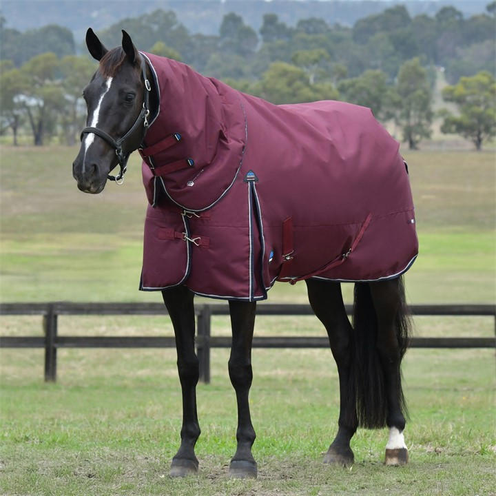 Weatherbeeta  Red Comfitec Essential Detach-A-Neck 220G Burgundy Navy in Size 6'0, Sports Direct