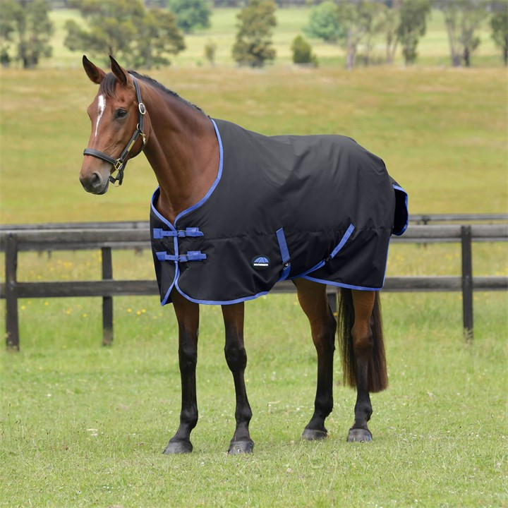 Weatherbeeta  Black Comfitec Tyro Standard Neck 220G Turn Out Rug in Size 6'9, Sports Direct