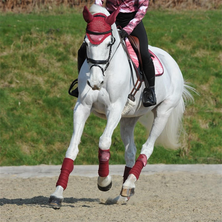 Weatherbeeta  Red Prime Marble Ear Bonnet in Size Pony, Sports Direct