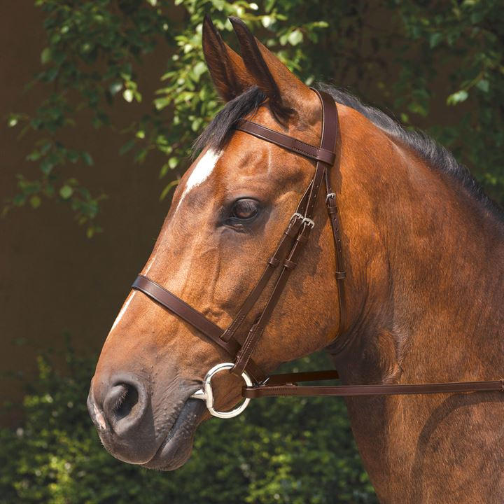 Requisite  Brown Snaffle Bridle With Reins in Size Full, Sports Direct