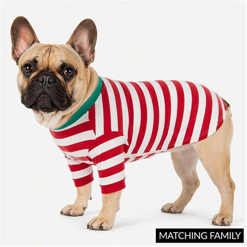 The Spirit Of Christmas - Xmas Family Dog Coat