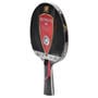 Sunflex - Ultimate C55 Table Tennis Bat
