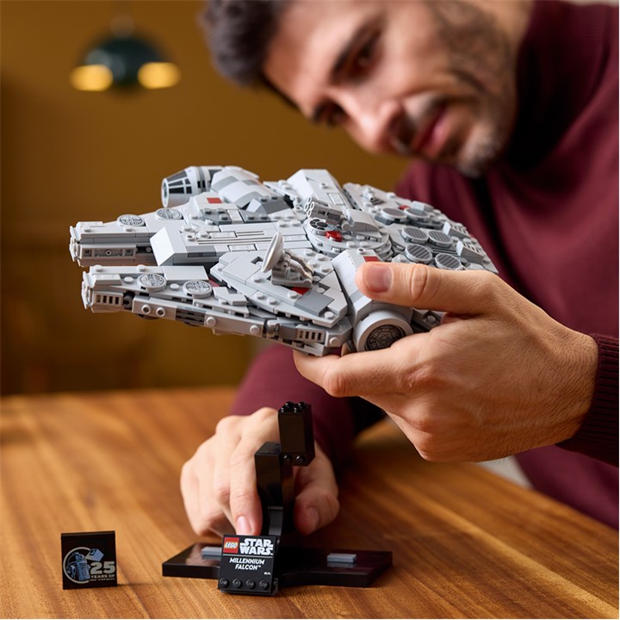 Multi Format and Universal - LEGO - Star Wars 75375 Millennium Falcon