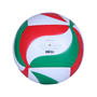 Wht/Grn/Red - Molten - Official Volleyball V5M
