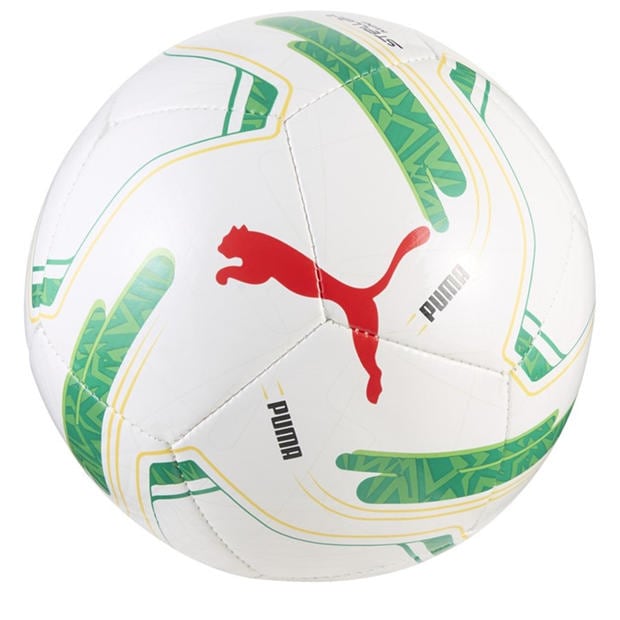 White/Green - Puma - Men's Mini Football