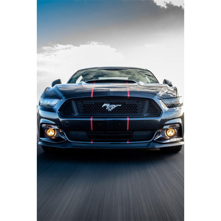 Sunderland    Ford Mustang Blast, Football by Activity Superstore, Sports Direct