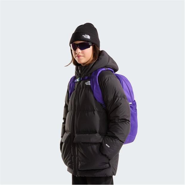 Purple ZT4 - The North Face - Jester Backpack Juniors