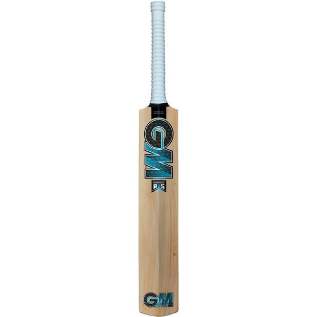 Blue - Gunn And Moore - Cricket Bat
