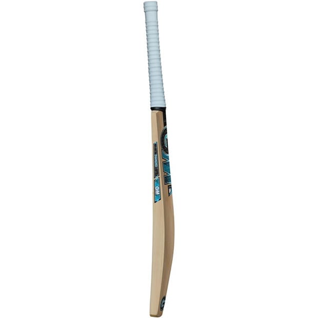 Blue - Gunn And Moore - Cricket Bat
