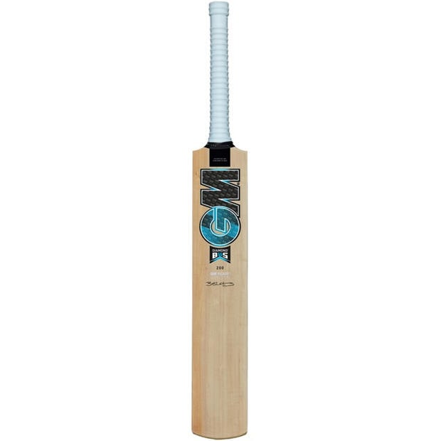 Blue - Gunn And Moore - Cricket Bat