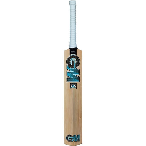 Blue - Gunn And Moore - Cricket Bat
