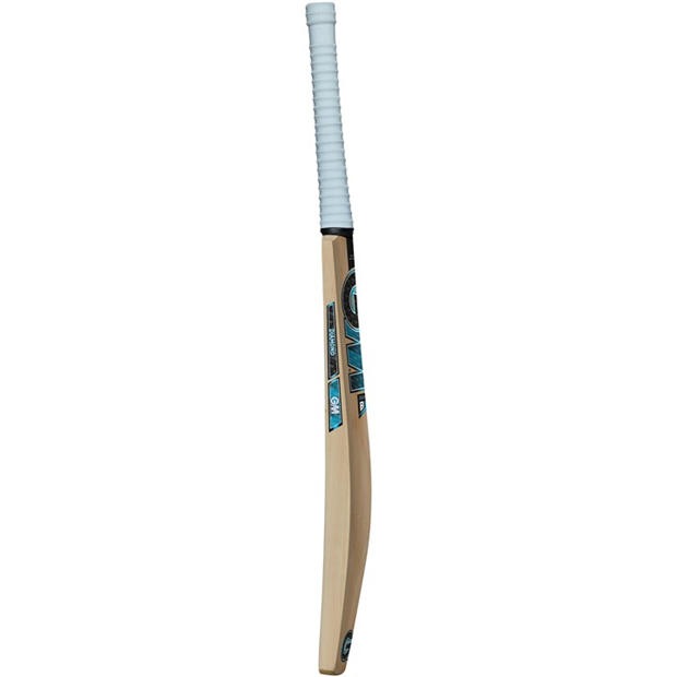 Blue - Gunn And Moore - Cricket Bat