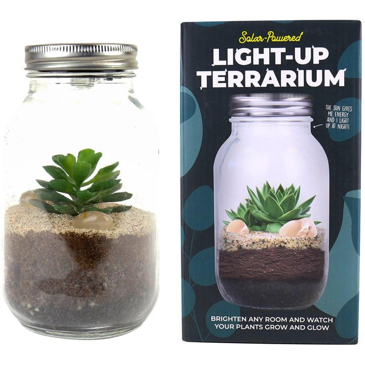 Gift Republic  Clear Light Up Terrarium, Sports Direct