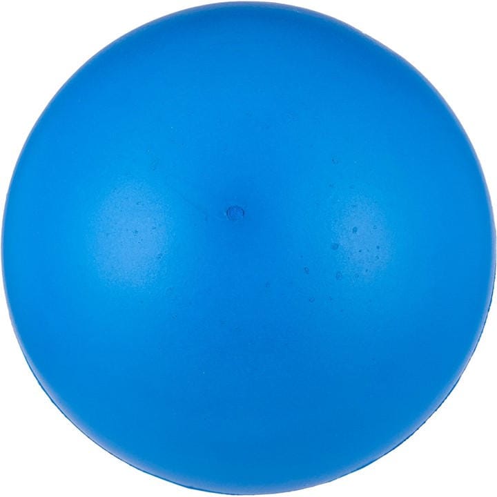 Sports Directory  Blue Coated Foam Ball, Sports Direct