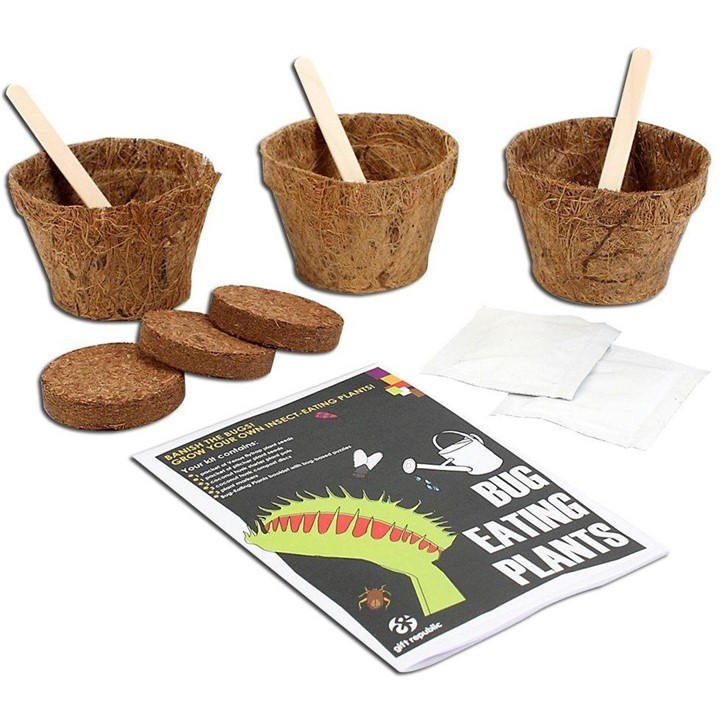 Grow It  None Bug Eating Plants Sow And Grow Kit, Sports Direct