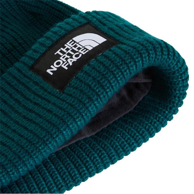 Pacific Teal - The North Face - Mens Salty Dog Beanie
