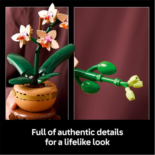 Botanicals - LEGO - Botanicals Mini Orchid Faux Plant Set 10343
