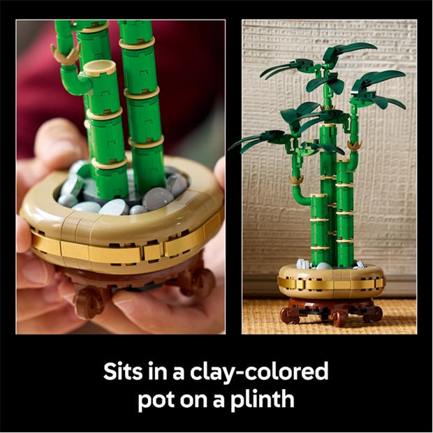 LEGO Botanicals Lucky Bamboo Faux Plant Set 10344 | SportsDirect