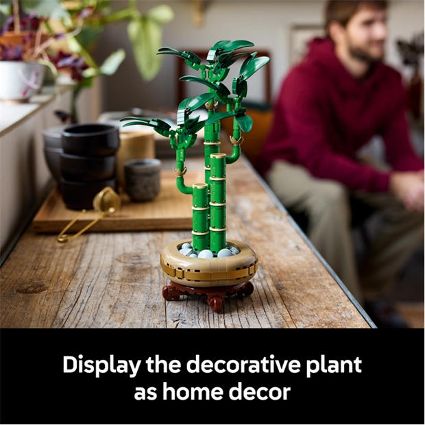 LEGO Botanicals Lucky Bamboo Faux Plant Set 10344 | SportsDirect