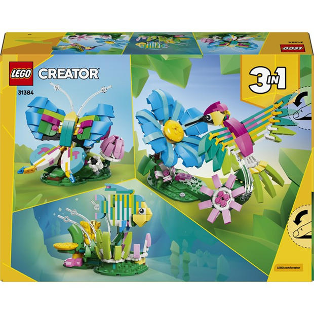 TBC - LEGO - Creator 3in1 Wild Animals: Colourful Hummingbird 31384