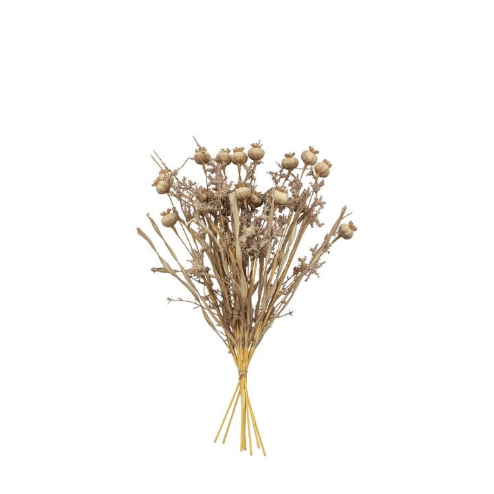 Gallery  Brown Dry Look Poppy Bundle Artificial Flowers, Sports Direct