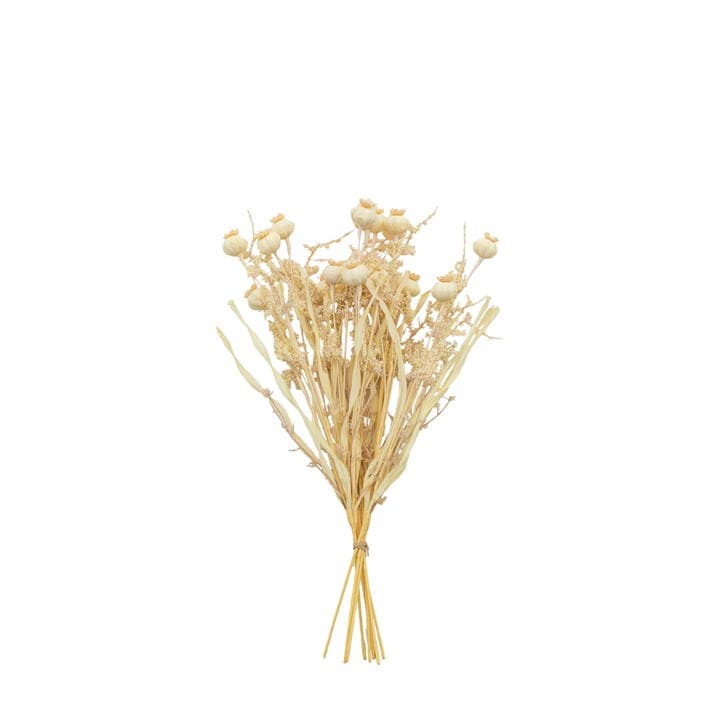 Gallery  Cream Dry Look Poppy Bundle Artificial Flowers, Sports Direct