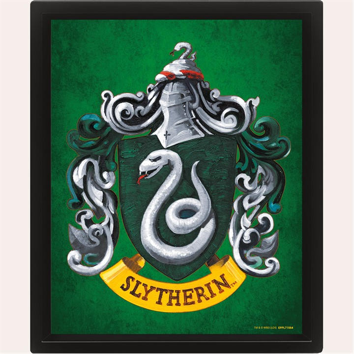 Harry Potter  Kids Green Wall Art, Sports Direct
