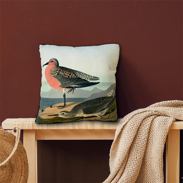 RB Homoktövis - The Art Group - John James Audubon Cushion