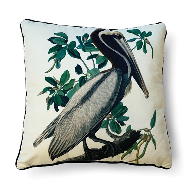 Brown Pelican - The Art Group - John James Audubon Cushion