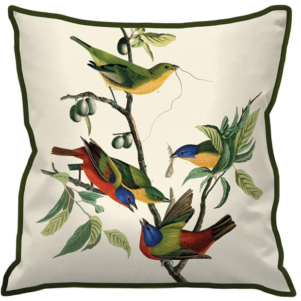 Painted Finch - The Art Group - John James Audubon Cushion