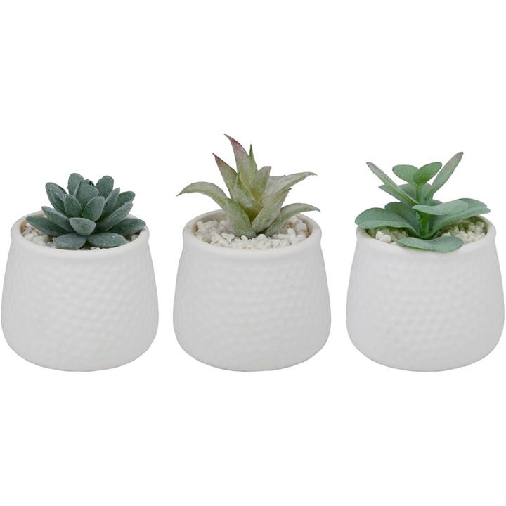 Arti Casa  White Artificial Plant In Pot 8.5X12cm, Sports Direct