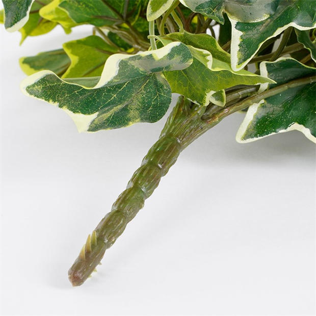 Žalia - Mica - Ivy hanging green variegated