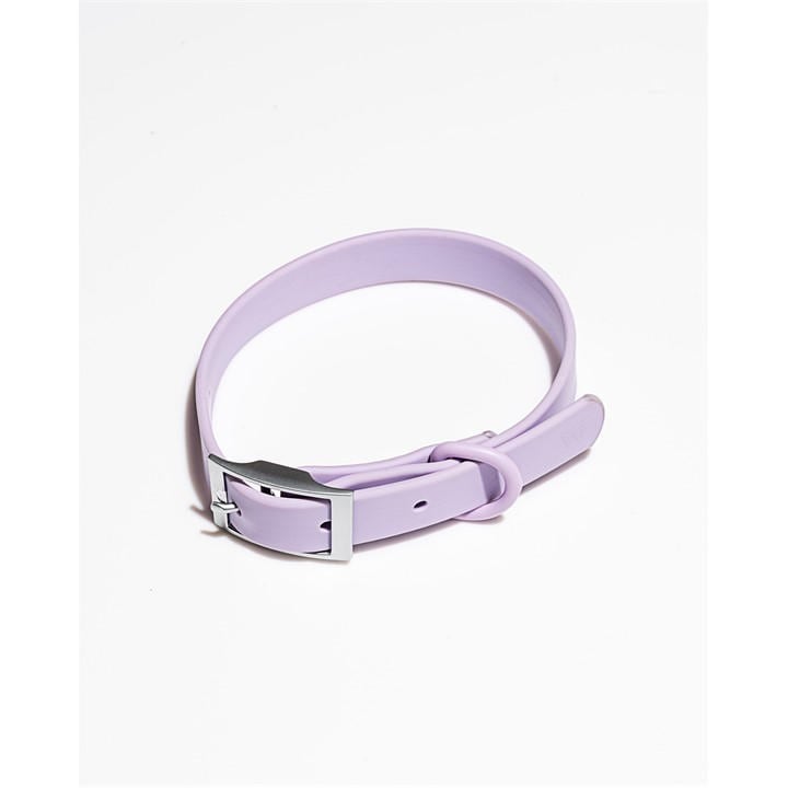 Wild One  Purple Wool Dog Collar in Size XL, Sports Direct