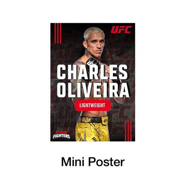 Multi - UFC - Punching Bag Capsule Action Figure